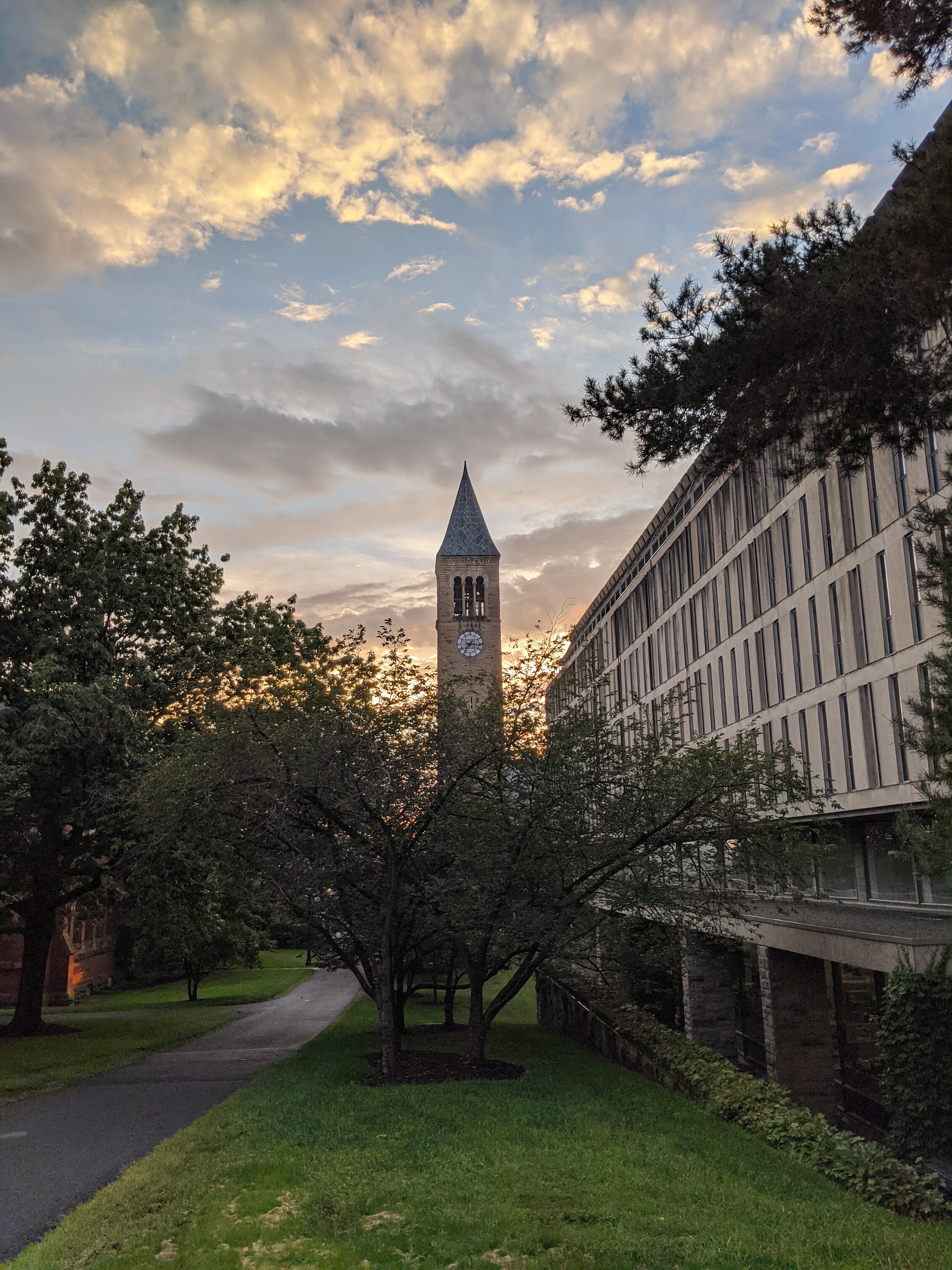 Cornell at sunset