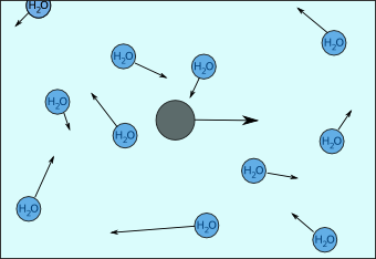 particle immersed in water