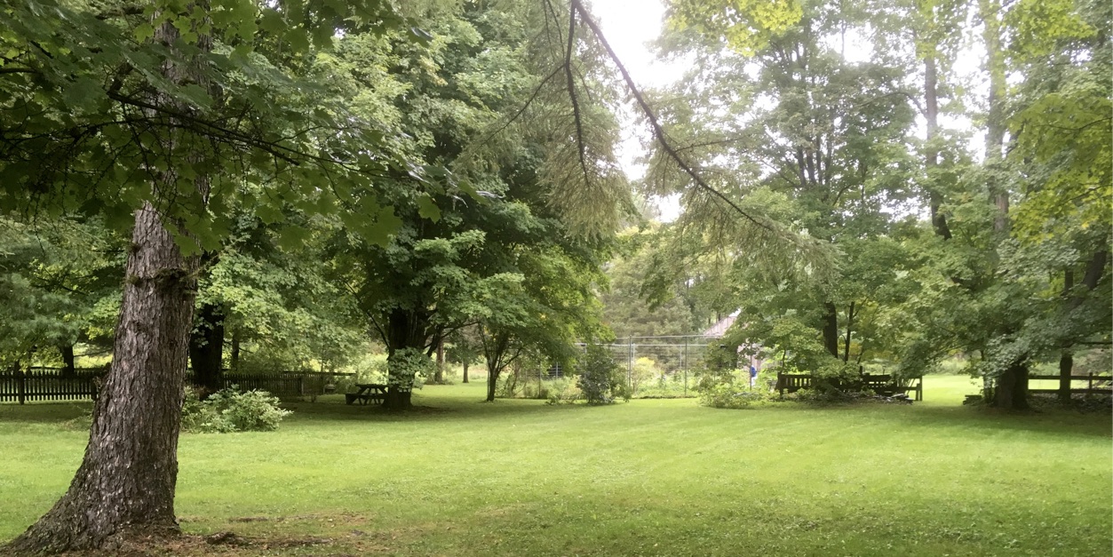 The family backyard