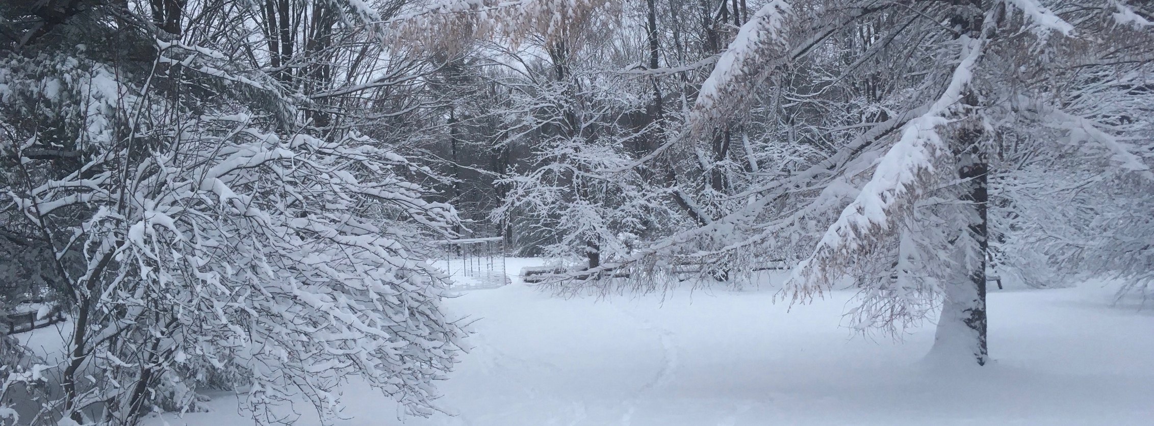 Snow in Ithaca