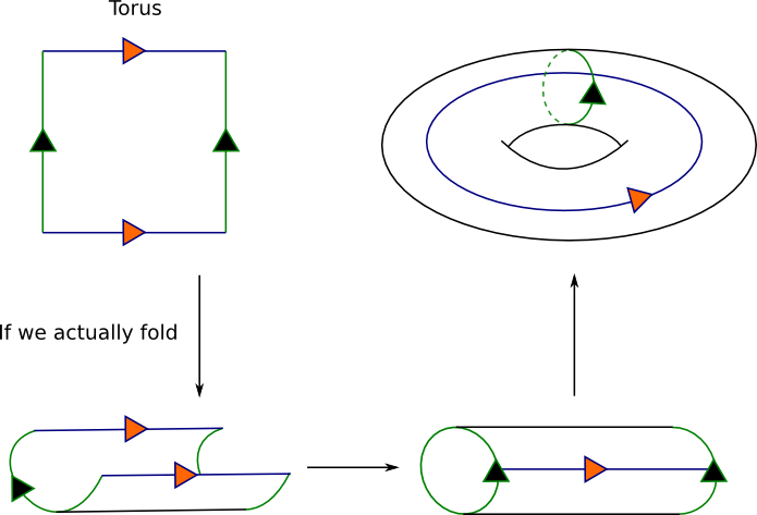 torus