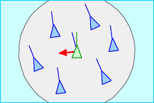 Alg