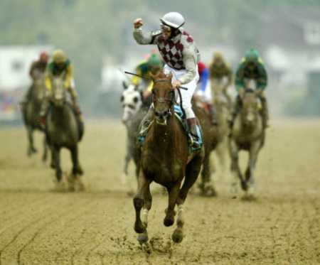horse