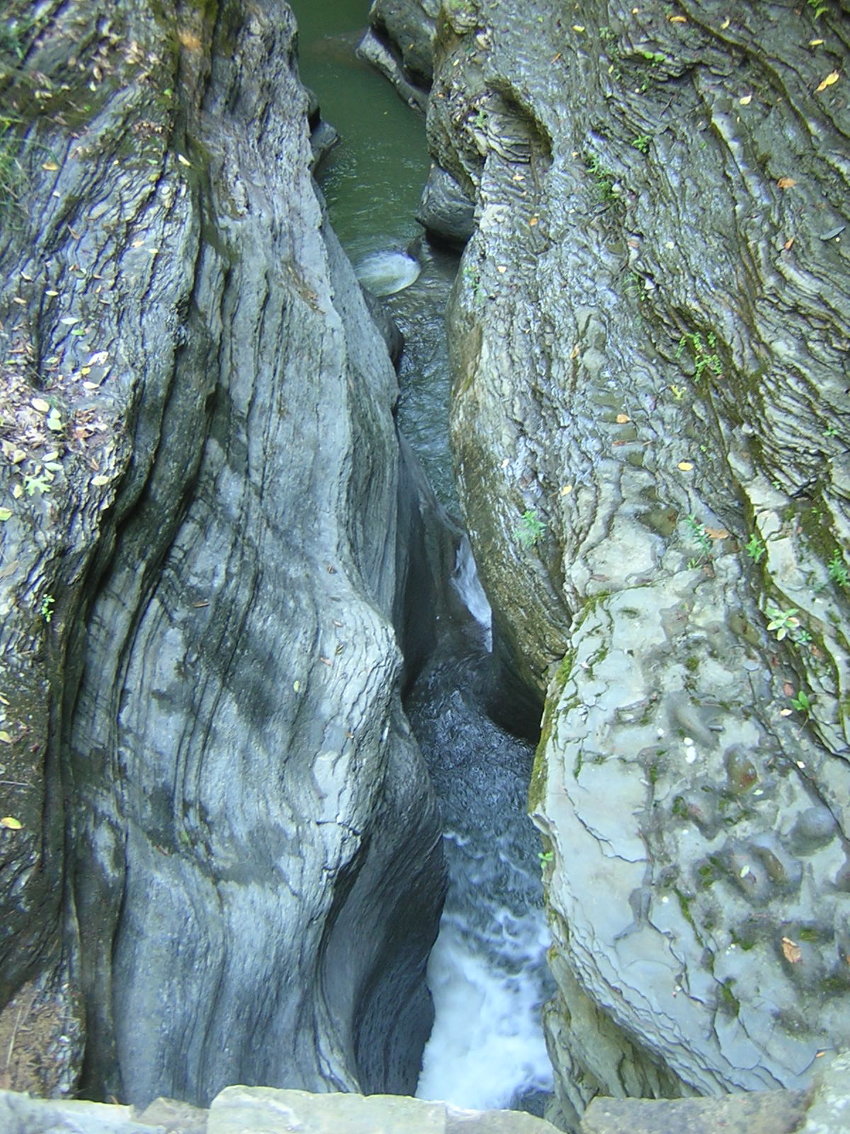 DSCN0744.JPG