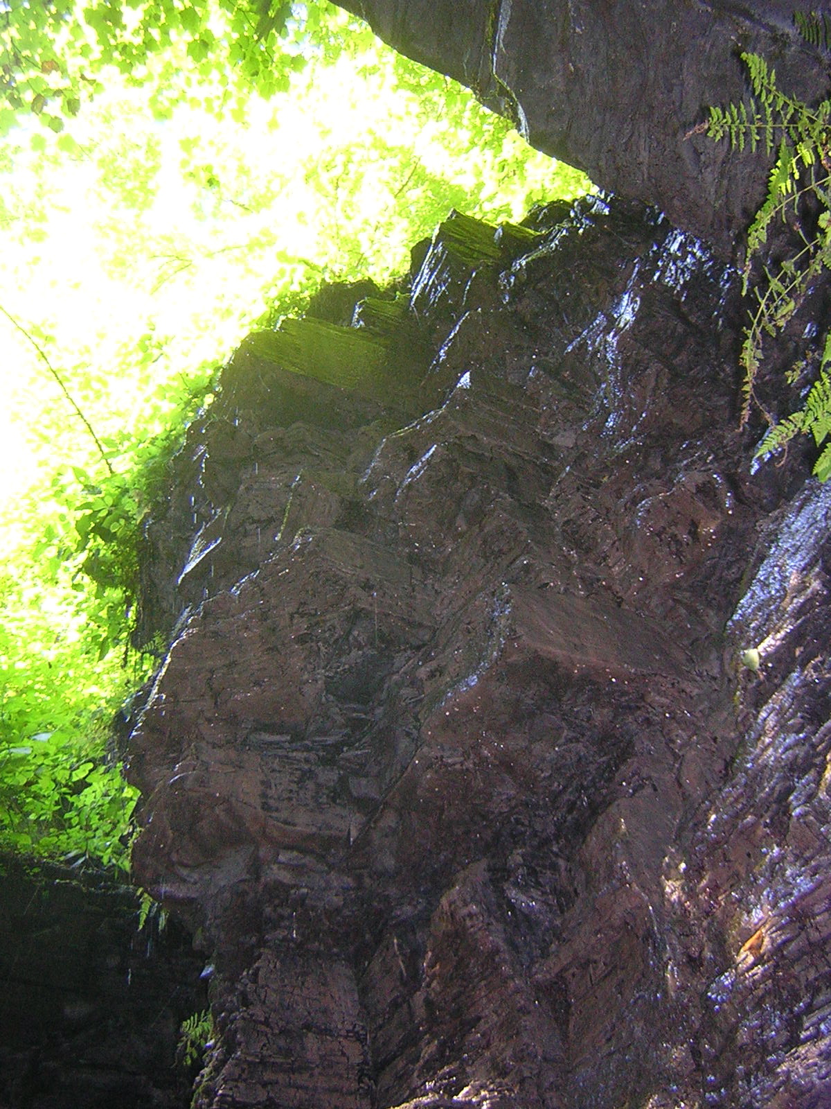 DSCN0746.JPG