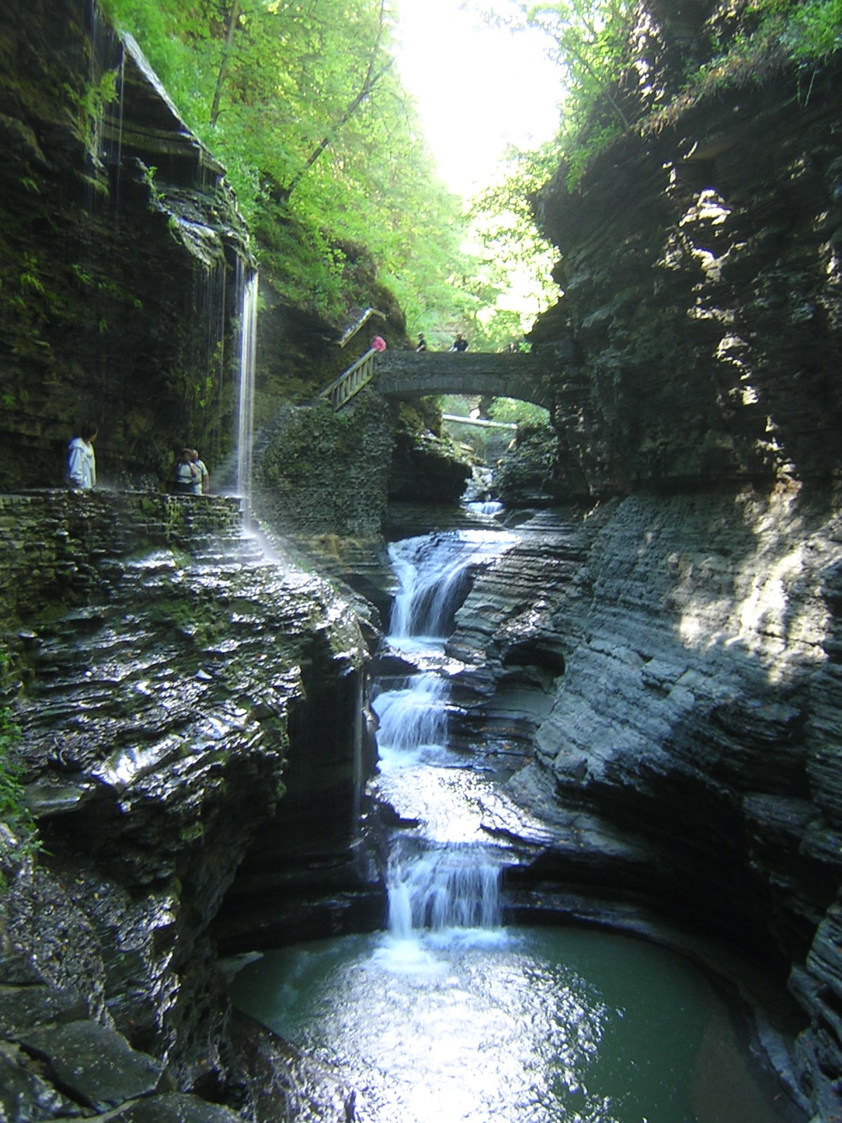 DSCN0753.JPG