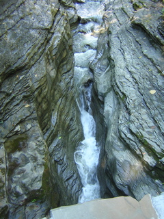 DSCN0745.JPG