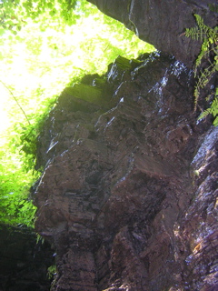 DSCN0746.JPG