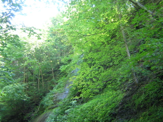 DSCN0752.JPG