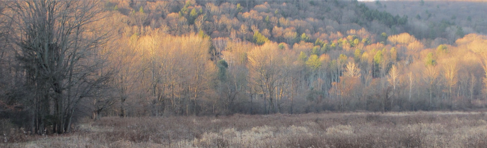 Ellis Hollow in the Fall