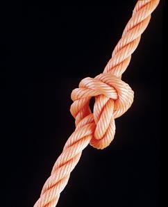 Knot theory