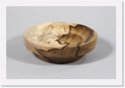 Sassafras australien * Australian sassafras * 800 x 533 * (259KB)